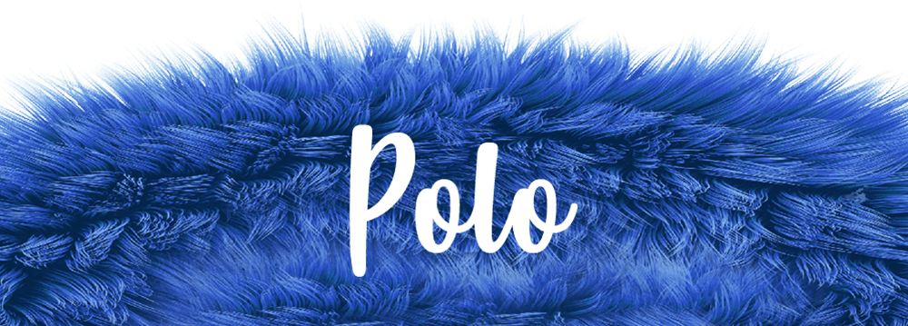 Yeti Orginal, Polo